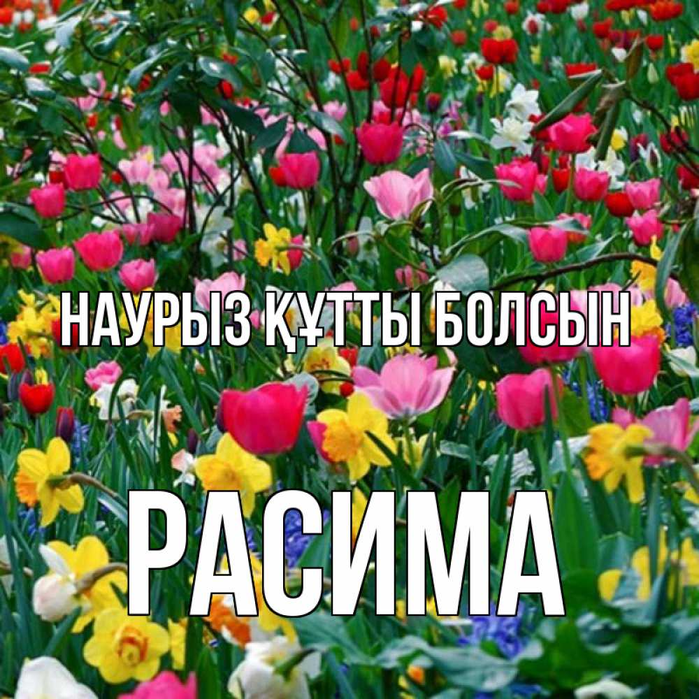 Күн сайын ашық хат с именем, РАСИМА Наурыз құтты болсын с наурызом поздравления для женщины Онлайн тегін жүктеп алу тілектері бар керемет карта 