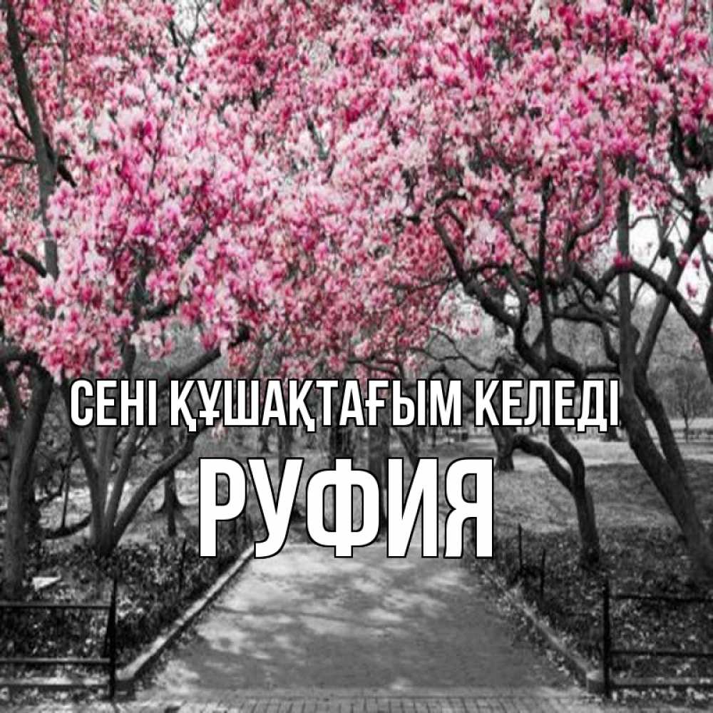 Күн сайын ашық хат с именем, РУФИЯ сені құшақтағым келеді обработанное фото Онлайн тегін жүктеп алу тілектері бар керемет карта 