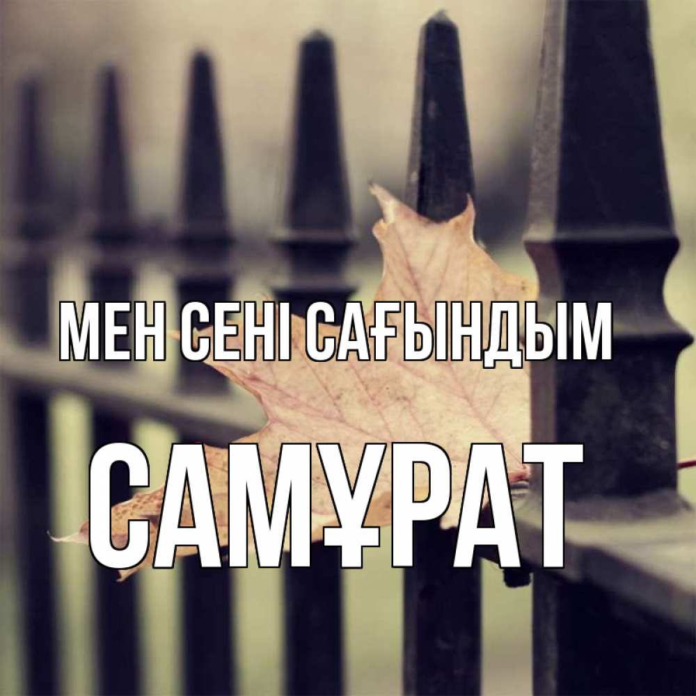 Күн сайын ашық хат с именем, САМҰРАТ Мен сені сағындым очень скучно Онлайн тегін жүктеп алу тілектері бар керемет карта 