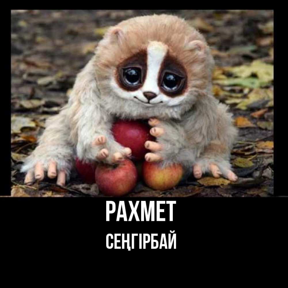 Күн сайын ашық хат с именем, СЕҢГІРБАЙ рахмет прикольное животное Онлайн тегін жүктеп алу тілектері бар керемет карта 