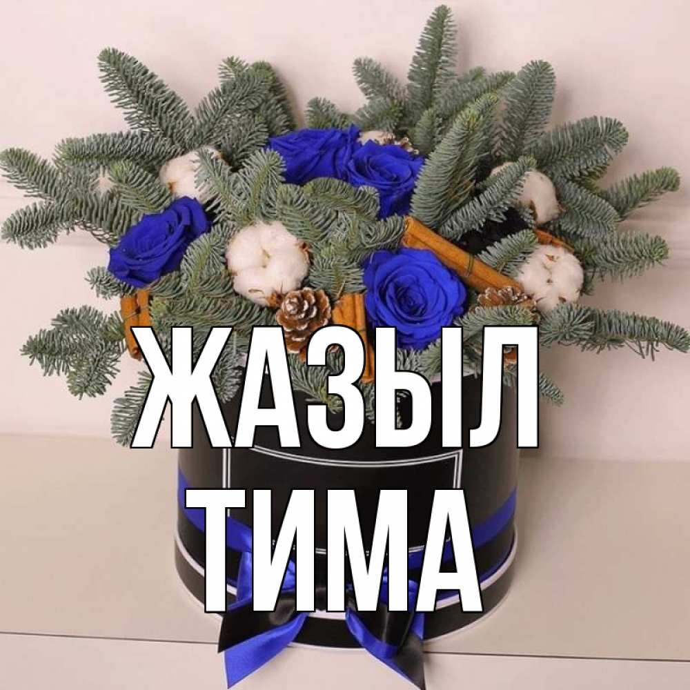Күн сайын ашық хат с именем, Тима Жазыл короче кто то загрузил эти шишки Онлайн тегін жүктеп алу тілектері бар керемет карта 