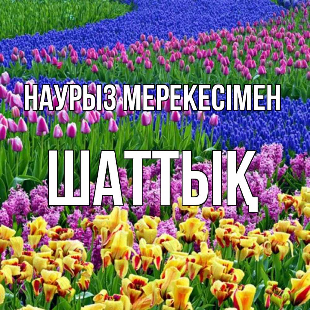 Күн сайын ашық хат с именем, ШАТТЫҚ Наурыз мерекесімен цветы Онлайн тегін жүктеп алу тілектері бар керемет карта 