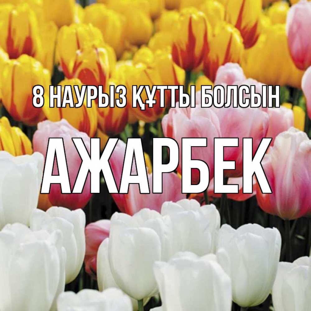 Күн сайын ашық хат с именем, Ажарбек 8 наурыз құтты болсын разноцветные цветы Онлайн тегін жүктеп алу тілектері бар керемет карта 