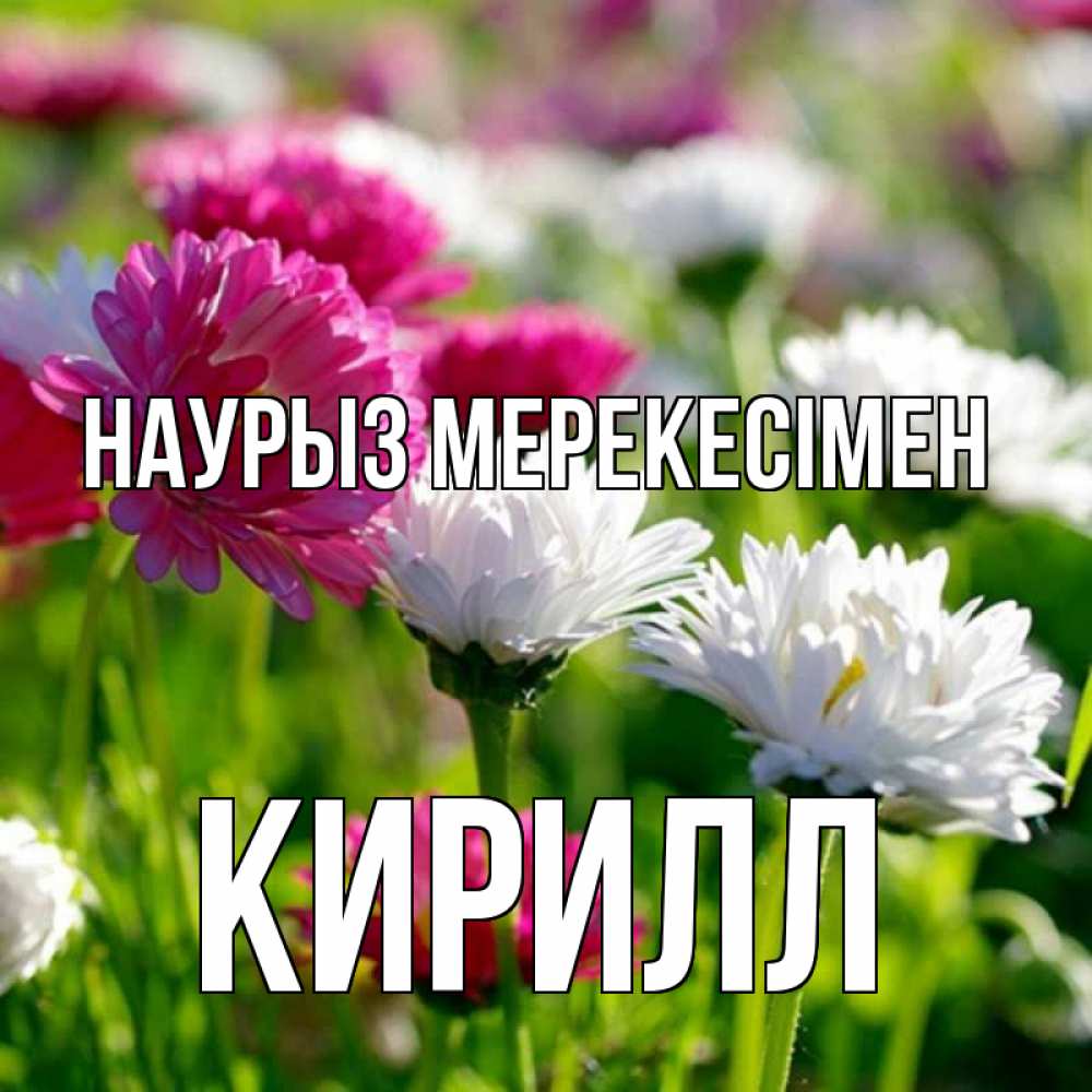 Күн сайын ашық хат с именем, Кирилл Наурыз мерекесімен праздник весны наурыз красота Онлайн тегін жүктеп алу тілектері бар керемет карта 