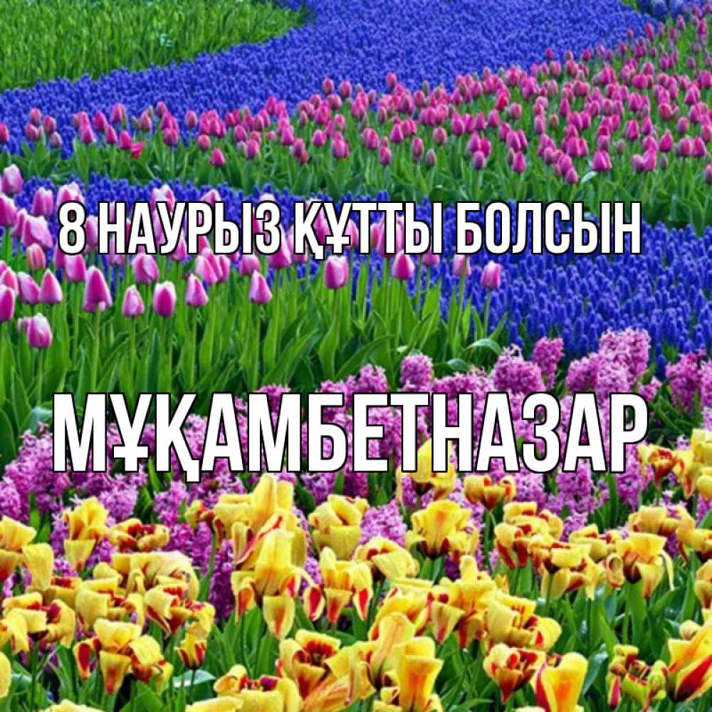 Күн сайын ашық хат с именем, Мұқамбетназар 8 наурыз құтты болсын цветы Онлайн тегін жүктеп алу тілектері бар керемет карта 
