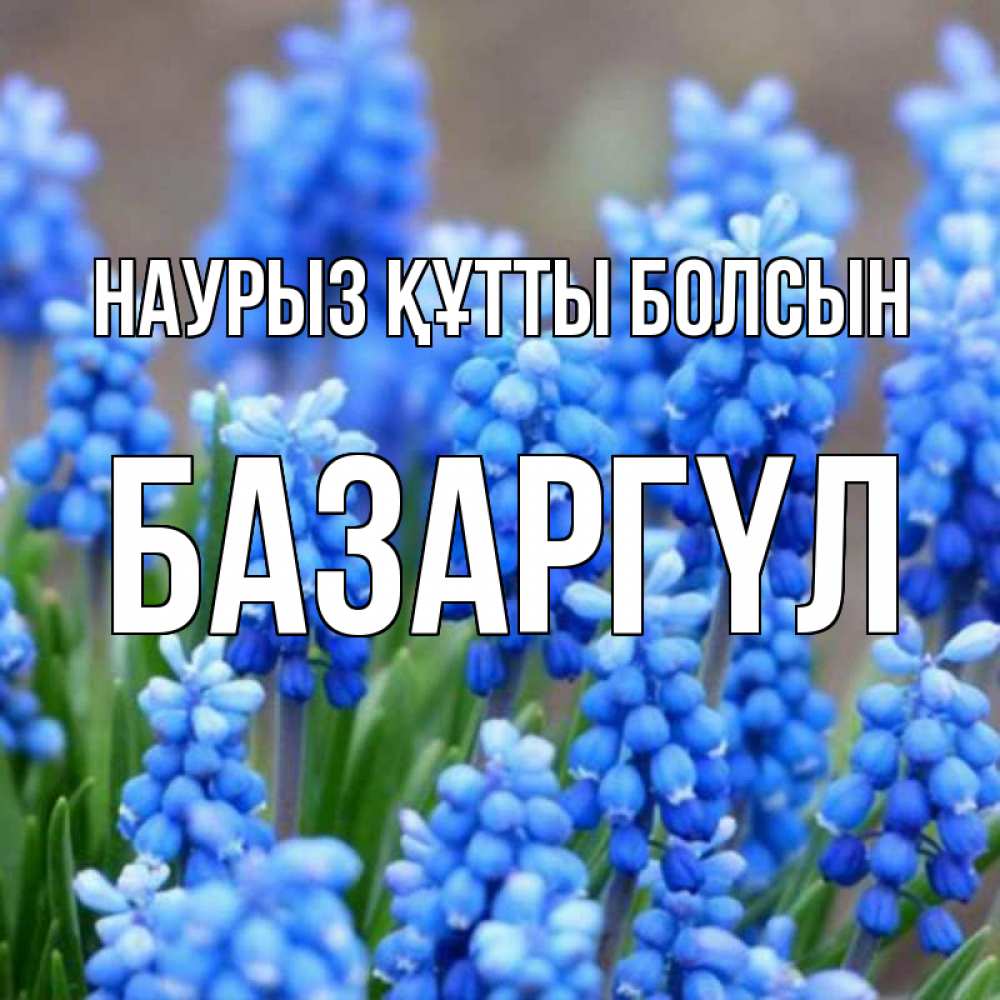 Күн сайын ашық хат с именем, БАЗАРГҮЛ Наурыз құтты болсын Поздравительная открытка для женщин с цветами на праздничную дату Онлайн тегін жүктеп алу тілектері бар керемет карта 