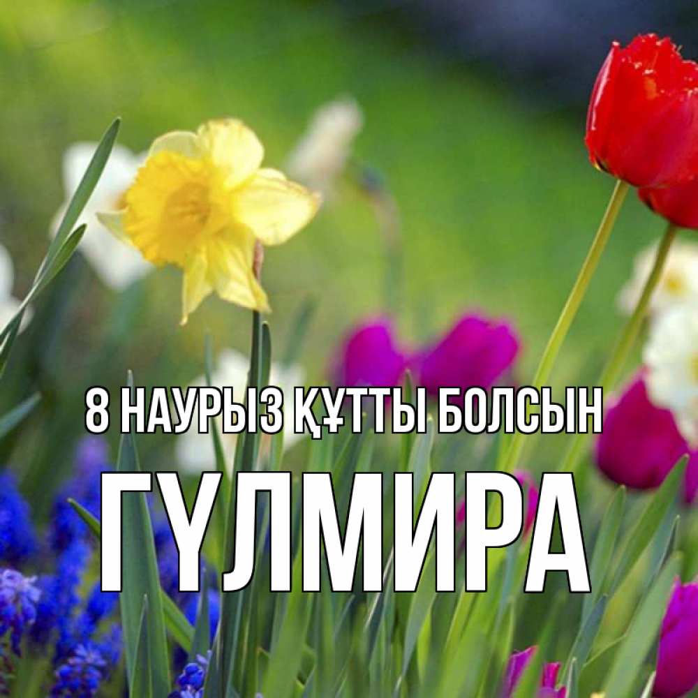 Күн сайын ашық хат с именем, ГҮЛМИРА 8 наурыз құтты болсын международный женский день 3 Онлайн тегін жүктеп алу тілектері бар керемет карта 