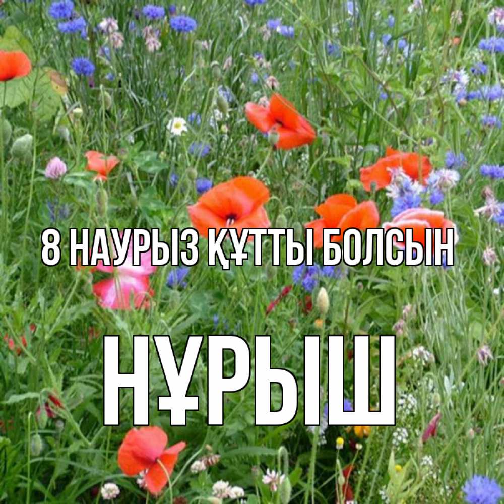 Күн сайын ашық хат с именем, Нұрыш 8 наурыз құтты болсын международный женский день 4 Онлайн тегін жүктеп алу тілектері бар керемет карта 