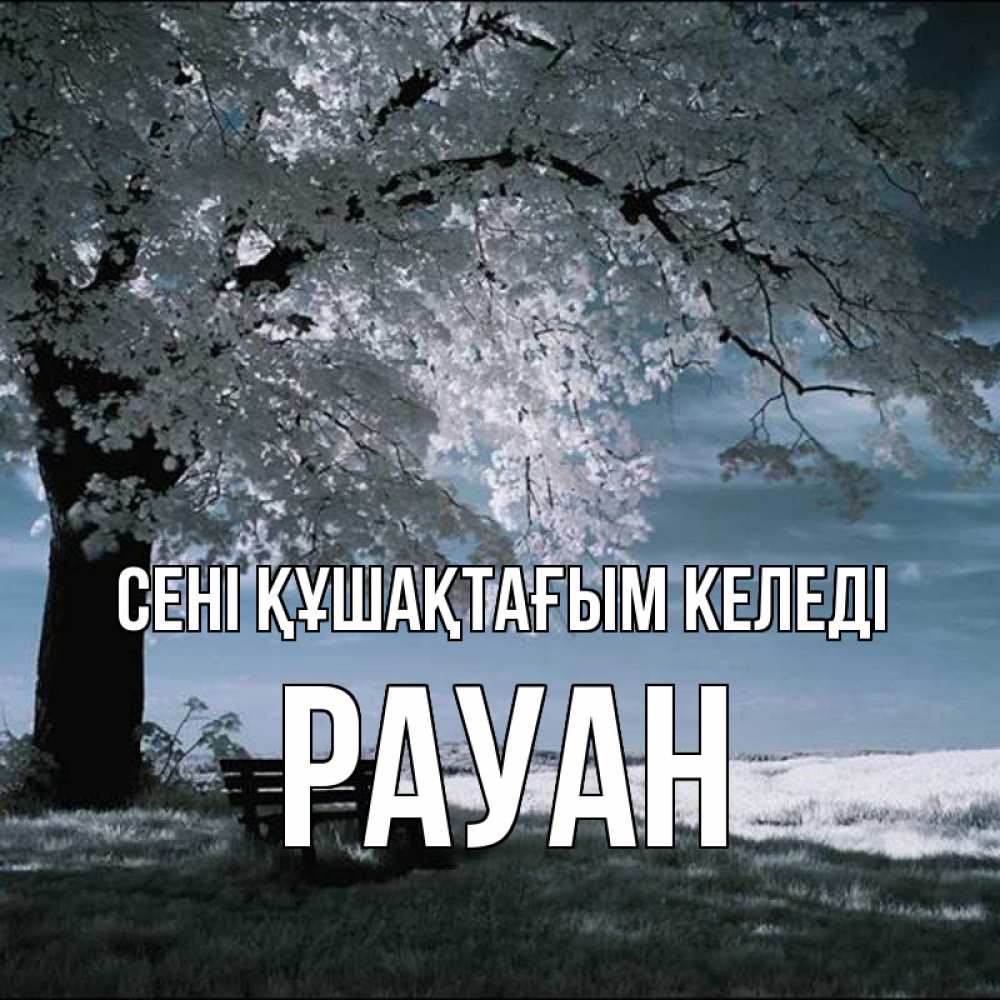 Күн сайын ашық хат с именем, РАУАН сені құшақтағым келеді дерево Онлайн тегін жүктеп алу тілектері бар керемет карта 