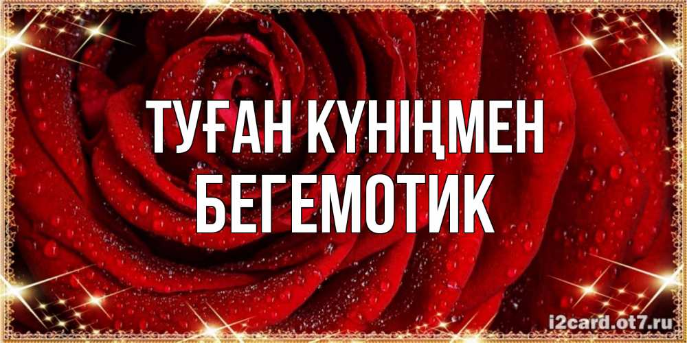 Күн сайын ашық хат с именем, Бегемотик Туған күніңмен роса на розе блестящая в лучах солнца Онлайн тегін жүктеп алу тілектері бар керемет карта 