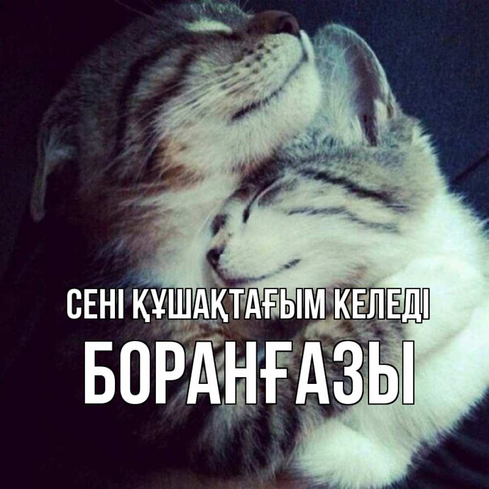 Күн сайын ашық хат с именем, Боранғазы сені құшақтағым келеді полосатики Онлайн тегін жүктеп алу тілектері бар керемет карта 