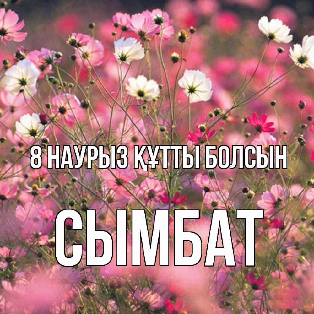 Күн сайын ашық хат с именем, СЫМБАТ 8 наурыз құтты болсын красиво 1 Онлайн тегін жүктеп алу тілектері бар керемет карта 