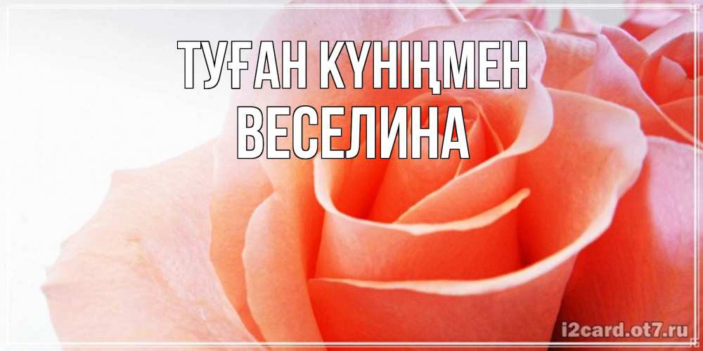 Күн сайын ашық хат с именем, Веселина Туған күніңмен розы для поздравления с днем рождения Онлайн тегін жүктеп алу тілектері бар керемет карта 