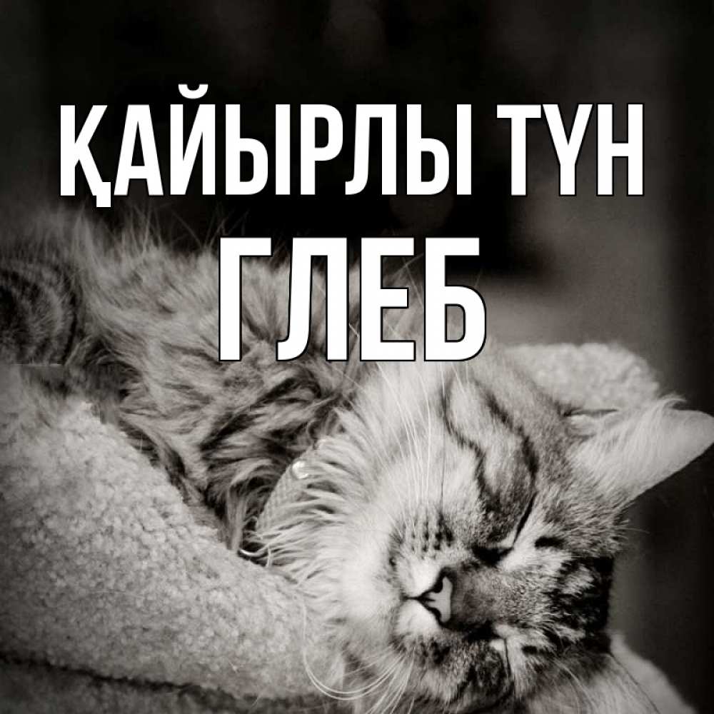 Күн сайын ашық хат с именем, Глеб Қайырлы түн котярик пушистый Онлайн тегін жүктеп алу тілектері бар керемет карта 
