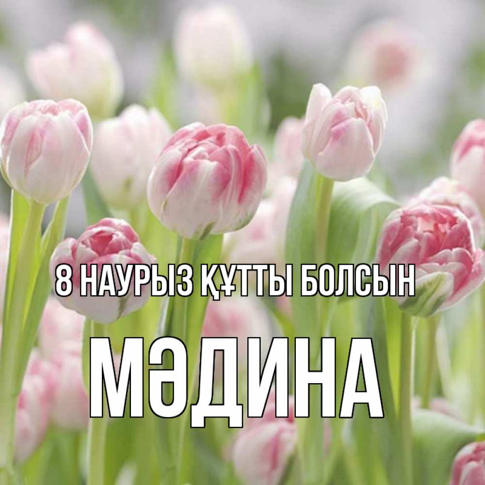 Күн сайын ашық хат с именем, МӘДИНА 8 наурыз құтты болсын цветы Онлайн тегін жүктеп алу тілектері бар керемет карта 