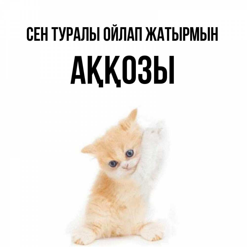 Күн сайын ашық хат с именем, Аққозы Сен туралы ойлап жатырмын зверушки и милота Онлайн тегін жүктеп алу тілектері бар керемет карта 