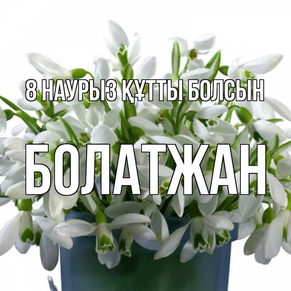 Күн сайын ашық хат с именем, Болатжан 8 наурыз құтты болсын цветы к международному женскому дню Онлайн тегін жүктеп алу тілектері бар керемет карта 