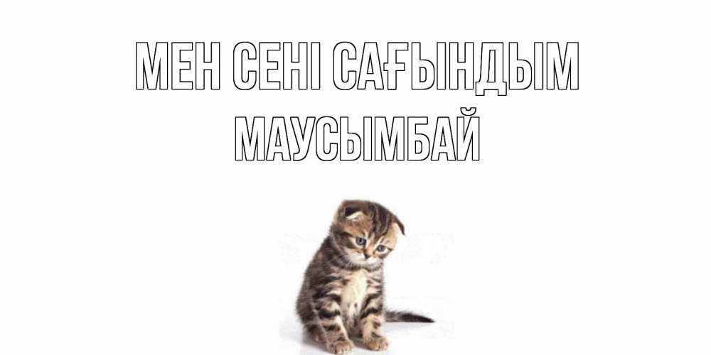 Күн сайын ашық хат с именем, МАУСЫМБАЙ Мен сені сағындым кот Онлайн тегін жүктеп алу тілектері бар керемет карта 