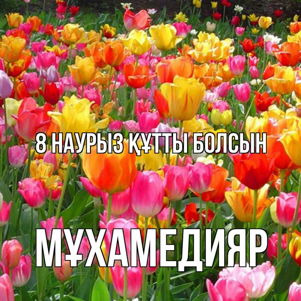 Күн сайын ашық хат с именем, МҰХАМЕДИЯР 8 наурыз құтты болсын на международный женский день Онлайн тегін жүктеп алу тілектері бар керемет карта 