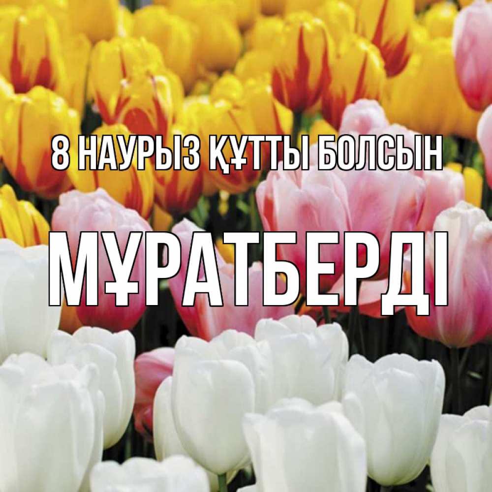 Күн сайын ашық хат с именем, Мұратберді 8 наурыз құтты болсын разноцветные цветы Онлайн тегін жүктеп алу тілектері бар керемет карта 