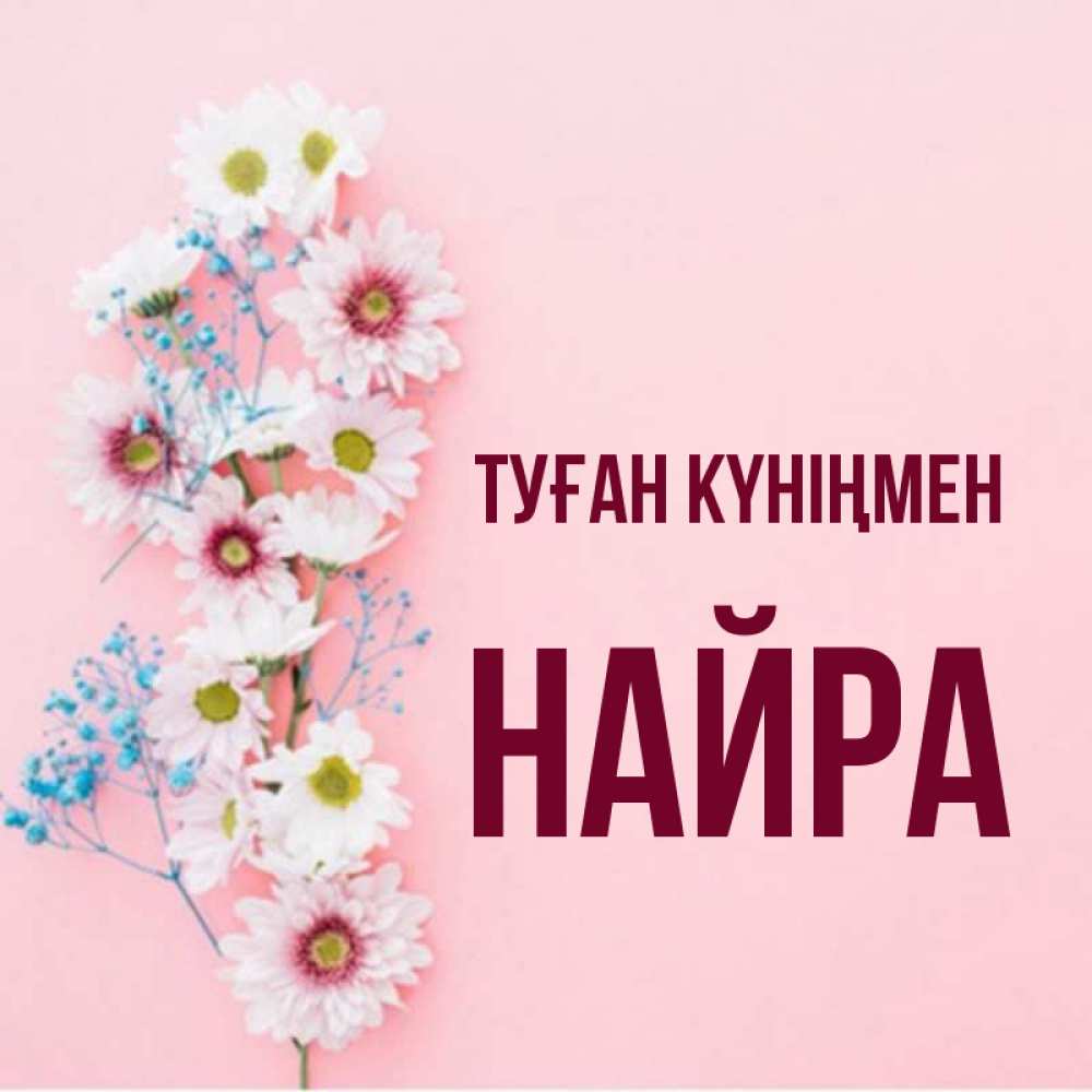 Күн сайын ашық хат с именем, НАЙРА Туған күніңмен Родная моя с днем рождения тебя картинка с цветами белыми и голубыми Онлайн тегін жүктеп алу тілектері бар керемет карта 