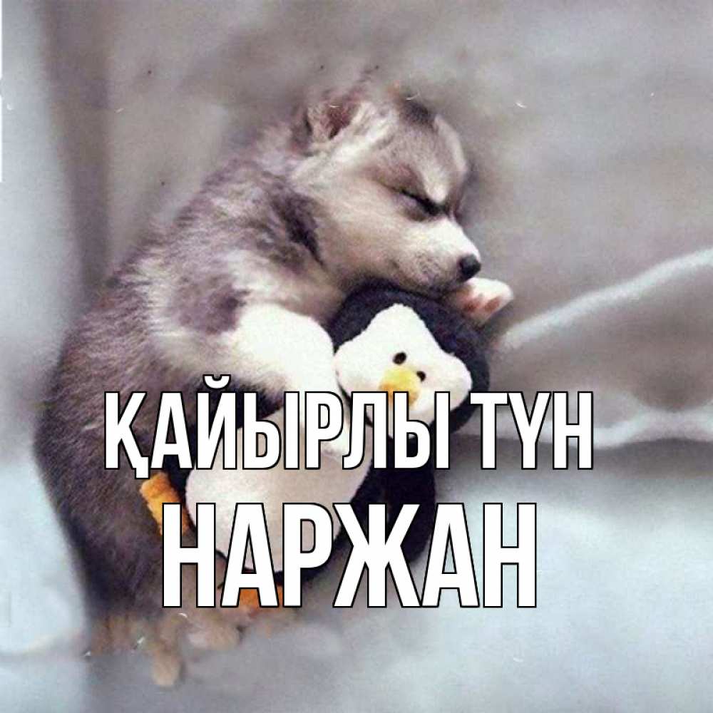 Күн сайын ашық хат с именем, Наржан Қайырлы түн обнимашки щенка и пингвина Онлайн тегін жүктеп алу тілектері бар керемет карта 