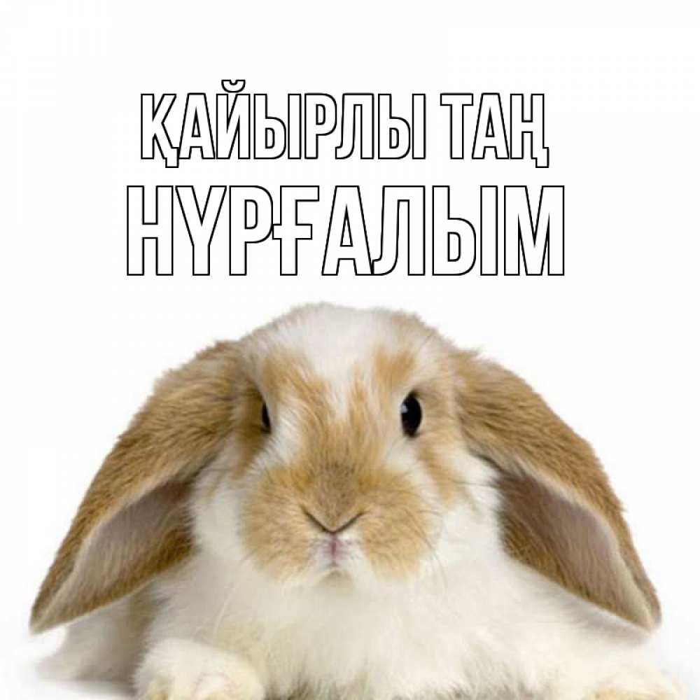 Күн сайын ашық хат с именем, НҮРҒАЛЫМ Қайырлы таң прикольные открытки на каждый день Онлайн тегін жүктеп алу тілектері бар керемет карта 