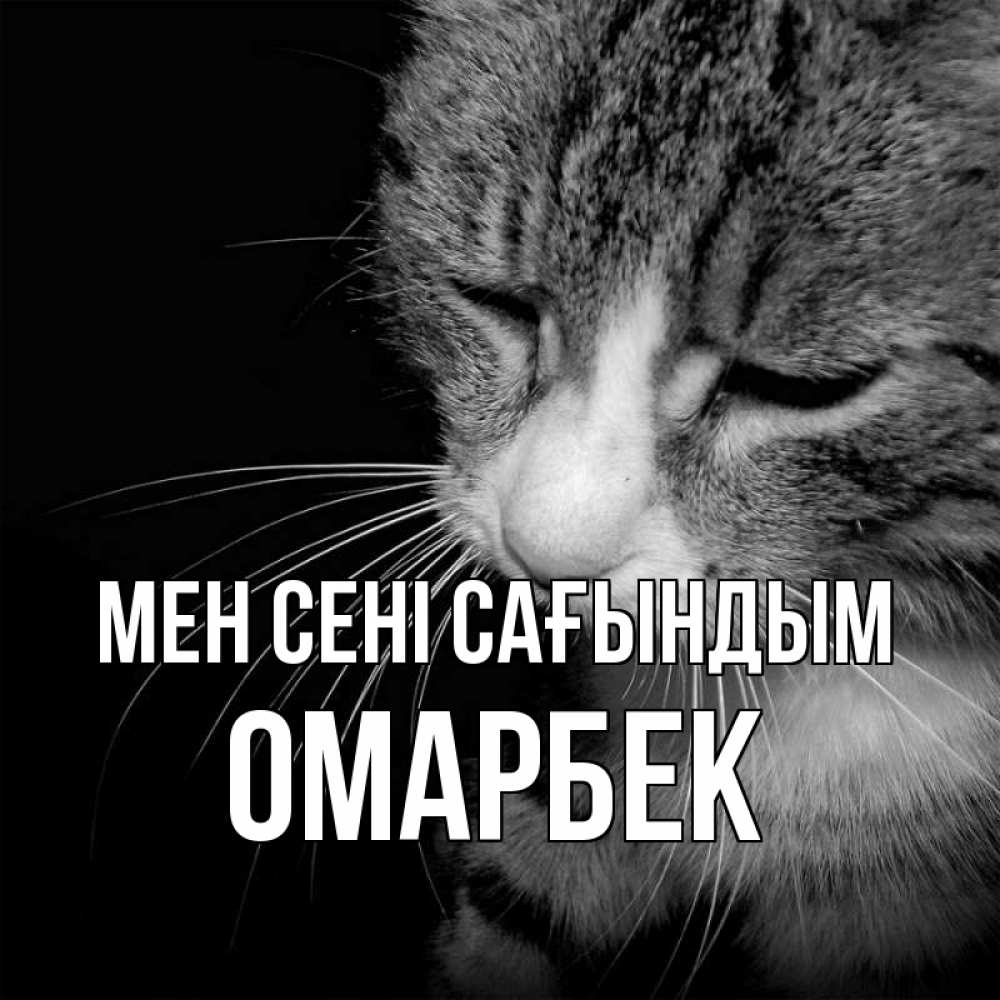 Күн сайын ашық хат с именем, ОМАРБЕК Мен сені сағындым мне скучно Онлайн тегін жүктеп алу тілектері бар керемет карта 