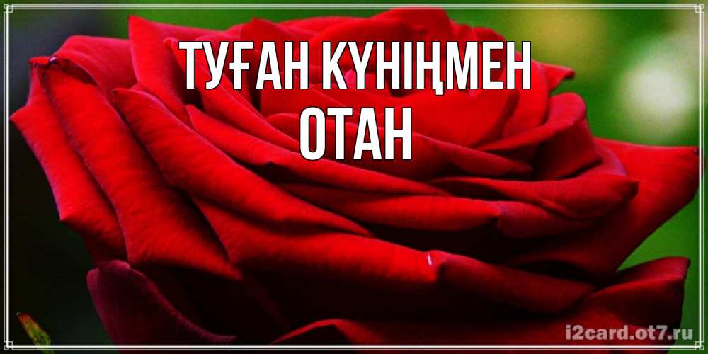 Күн сайын ашық хат с именем, ОТАН Туған күніңмен розочка очень красивая Онлайн тегін жүктеп алу тілектері бар керемет карта 