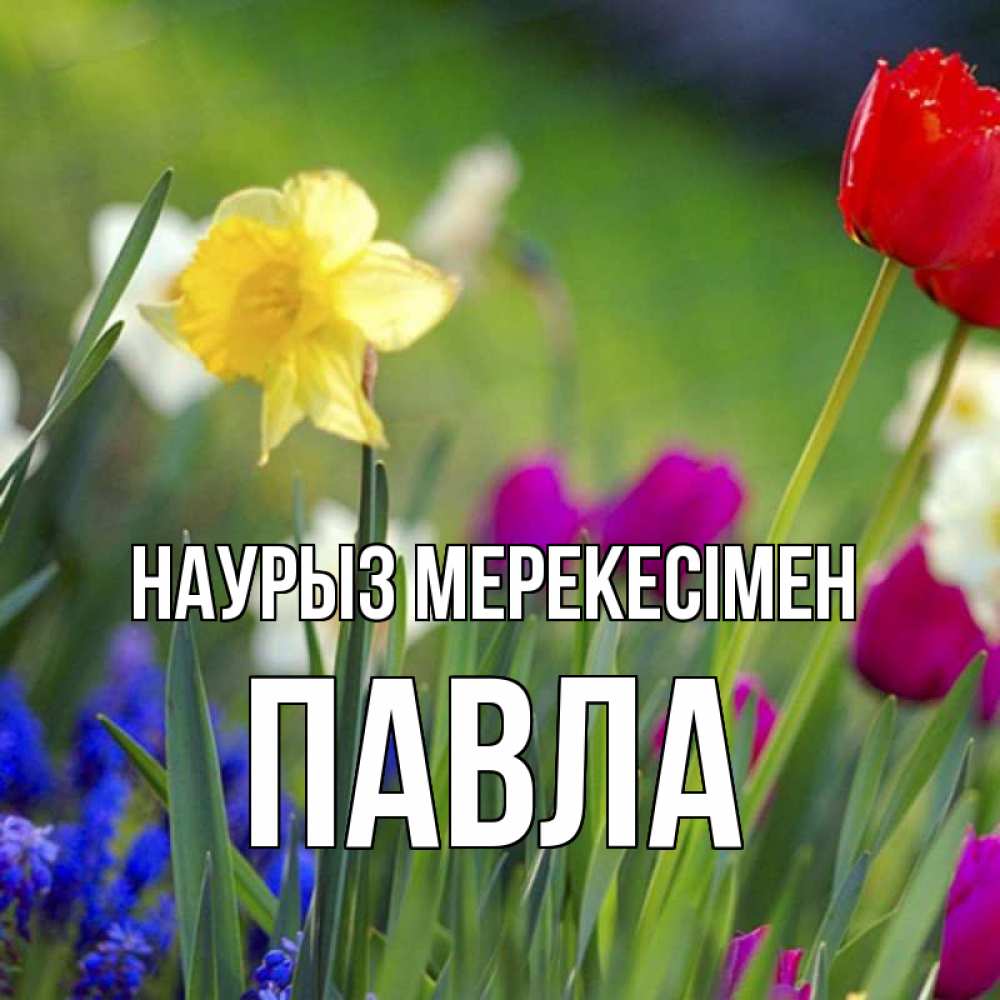 Күн сайын ашық хат с именем, Павла Наурыз мерекесімен праздник весны наурыз 3 Онлайн тегін жүктеп алу тілектері бар керемет карта 