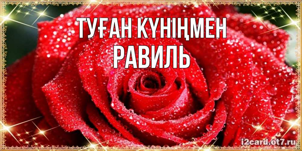 Күн сайын ашық хат с именем, Равиль Туған күніңмен роса и роза. открытка с красивой розой Онлайн тегін жүктеп алу тілектері бар керемет карта 
