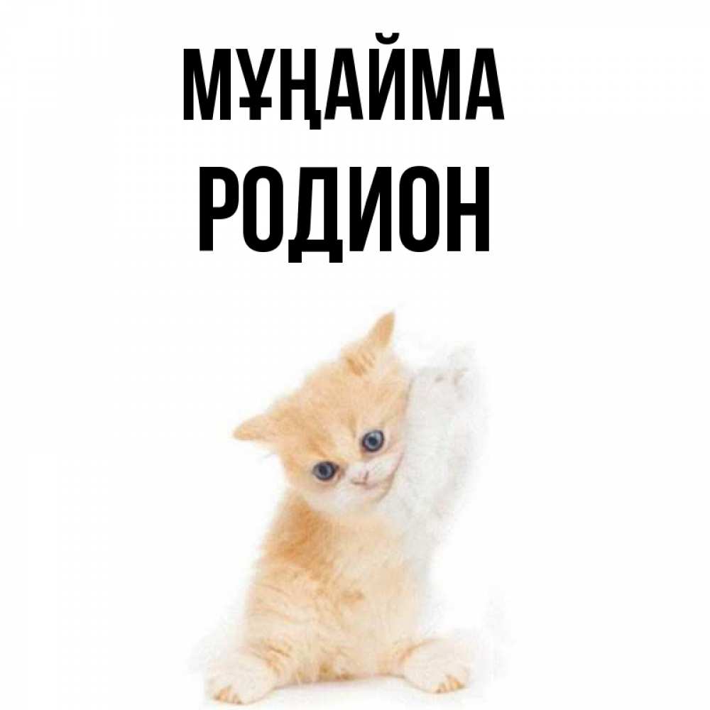 Күн сайын ашық хат с именем, Родион Мұңайма просящий кот Онлайн тегін жүктеп алу тілектері бар керемет карта 