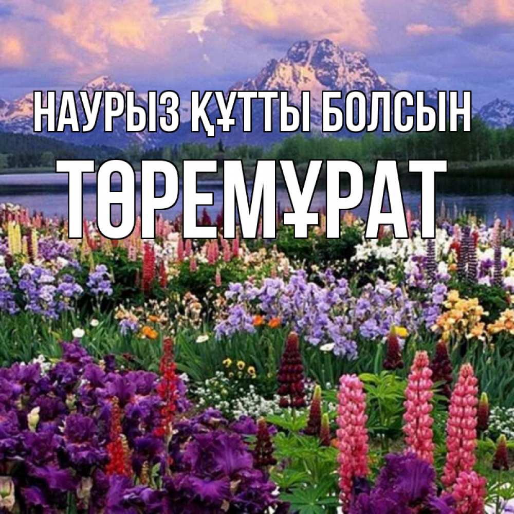 Күн сайын ашық хат с именем, Төремұрат Наурыз құтты болсын наурыз Онлайн тегін жүктеп алу тілектері бар керемет карта 