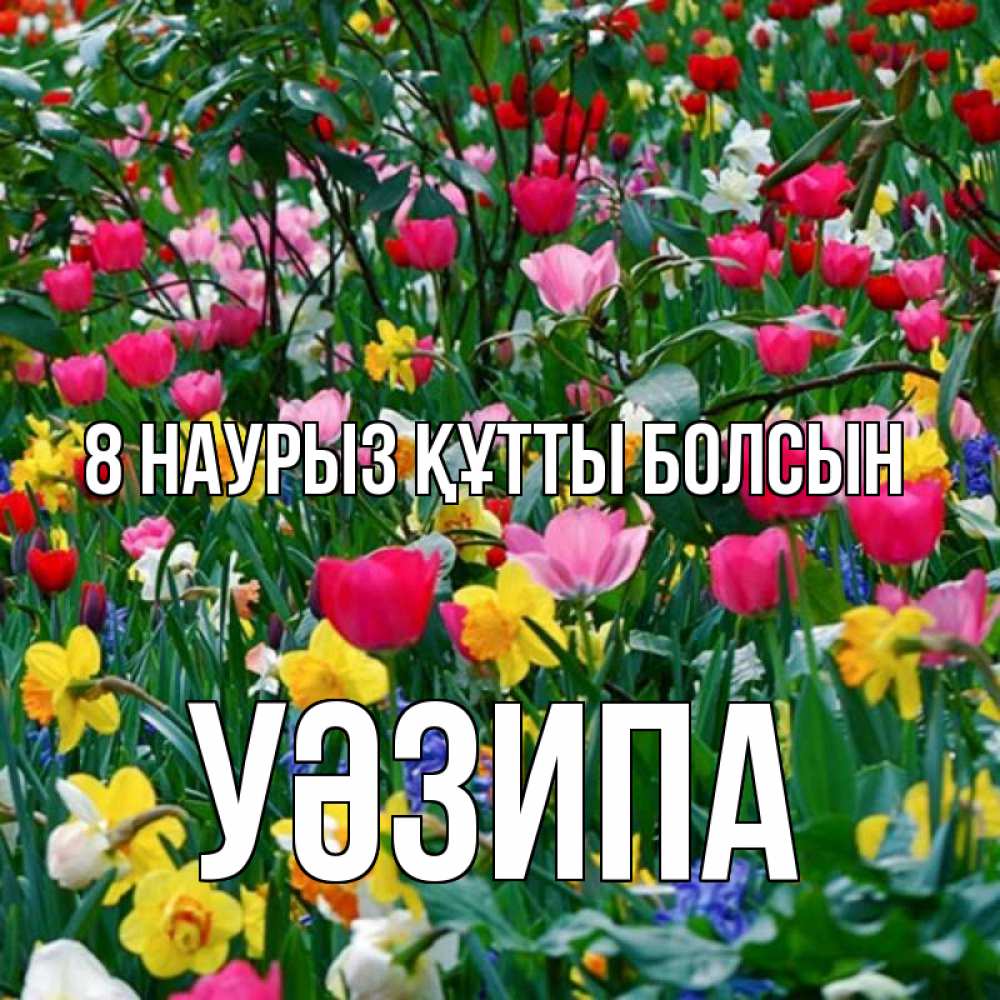 Күн сайын ашық хат с именем, УӘЗИПА 8 наурыз құтты болсын с международным женским днем поздравления для женщины Онлайн тегін жүктеп алу тілектері бар керемет карта 
