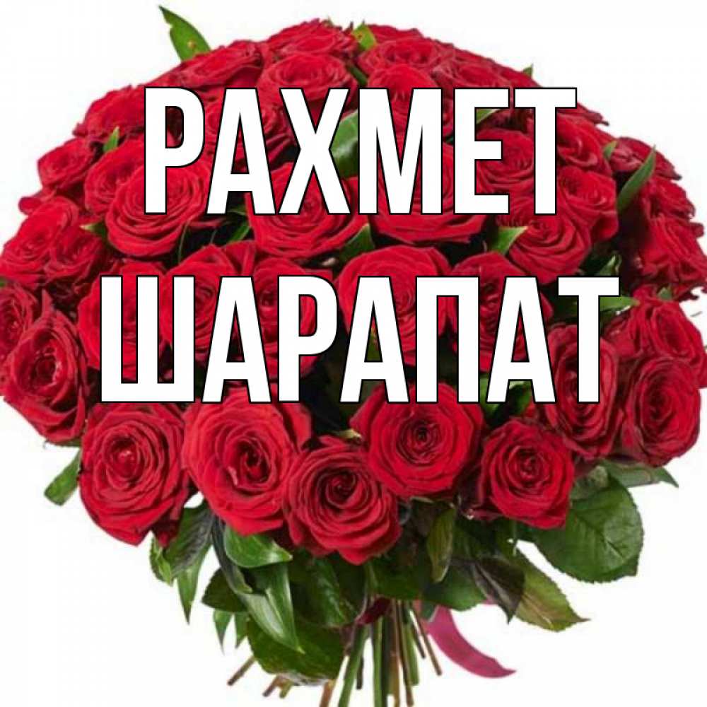 Күн сайын ашық хат с именем, ШАРАПАТ рахмет букет красных роз Онлайн тегін жүктеп алу тілектері бар керемет карта 