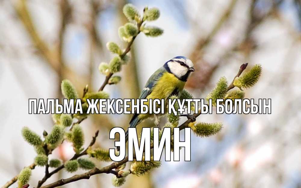 Күн сайын ашық хат с именем, Эмин Пальма жексенбісі құтты болсын верба Онлайн тегін жүктеп алу тілектері бар керемет карта 