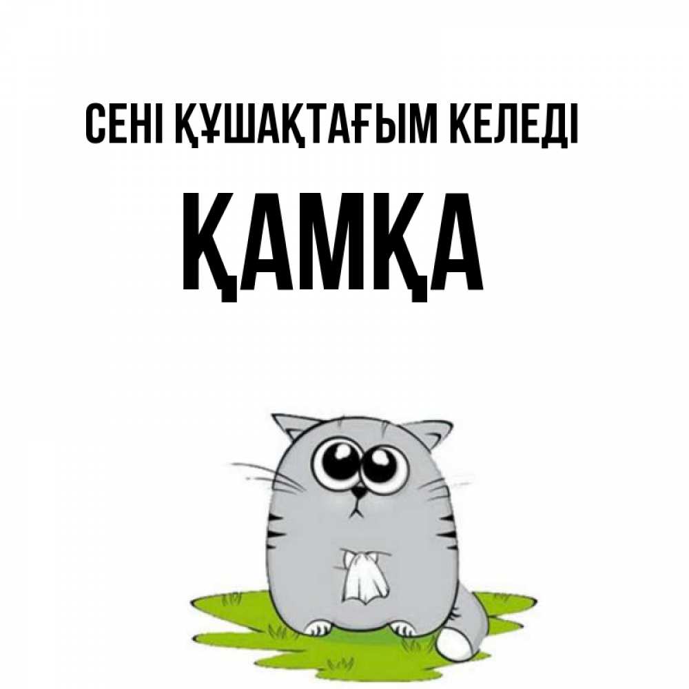 Күн сайын ашық хат с именем, ҚАМҚА сені құшақтағым келеді котик теребит платочек сидя на травке Онлайн тегін жүктеп алу тілектері бар керемет карта 