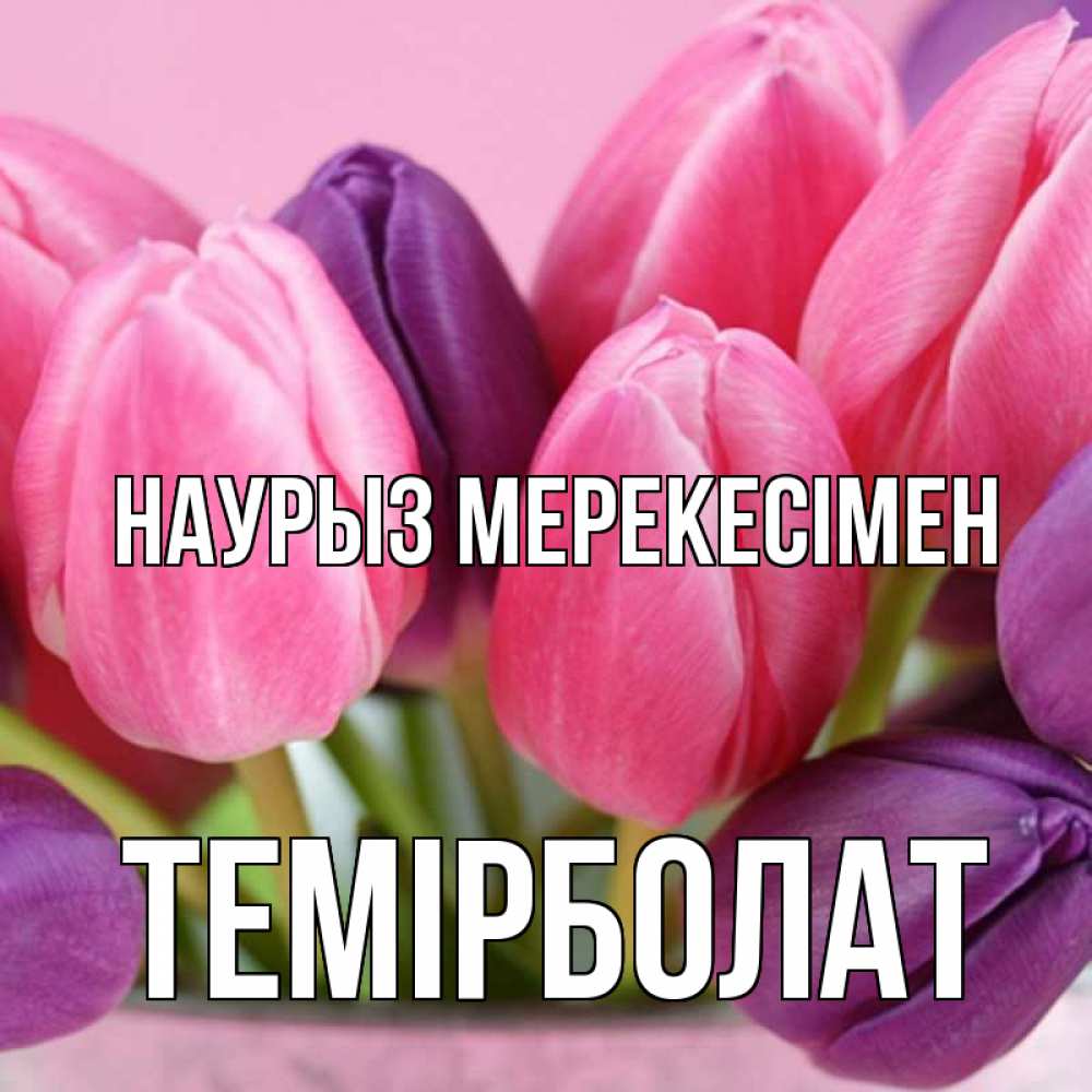 Күн сайын ашық хат с именем, ТЕМІРБОЛАТ Наурыз мерекесімен маме 1 Онлайн тегін жүктеп алу тілектері бар керемет карта 