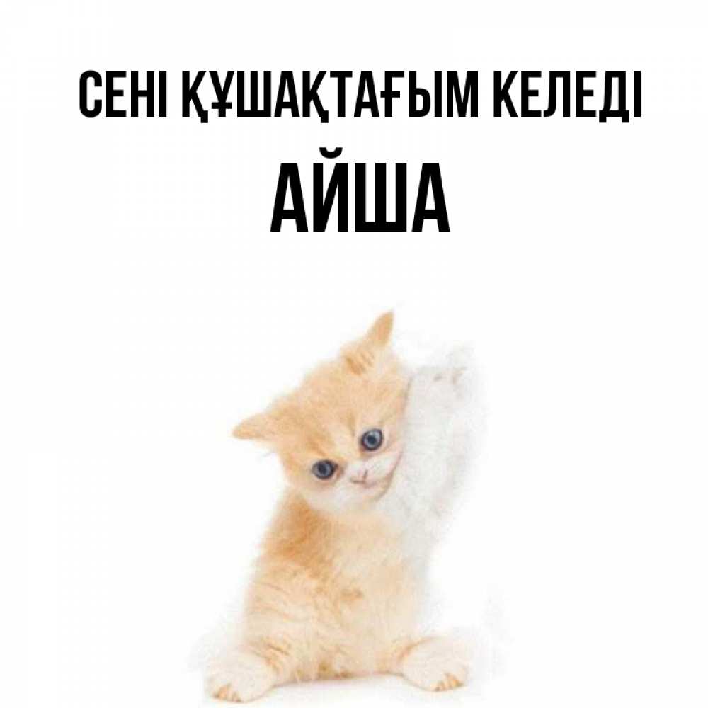 Күн сайын ашық хат с именем, АЙША сені құшақтағым келеді я хочу очень скорее обнимаешек Онлайн тегін жүктеп алу тілектері бар керемет карта 