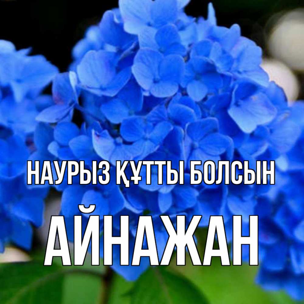 Күн сайын ашық хат с именем, Айнажан Наурыз құтты болсын синие цветы Онлайн тегін жүктеп алу тілектері бар керемет карта 