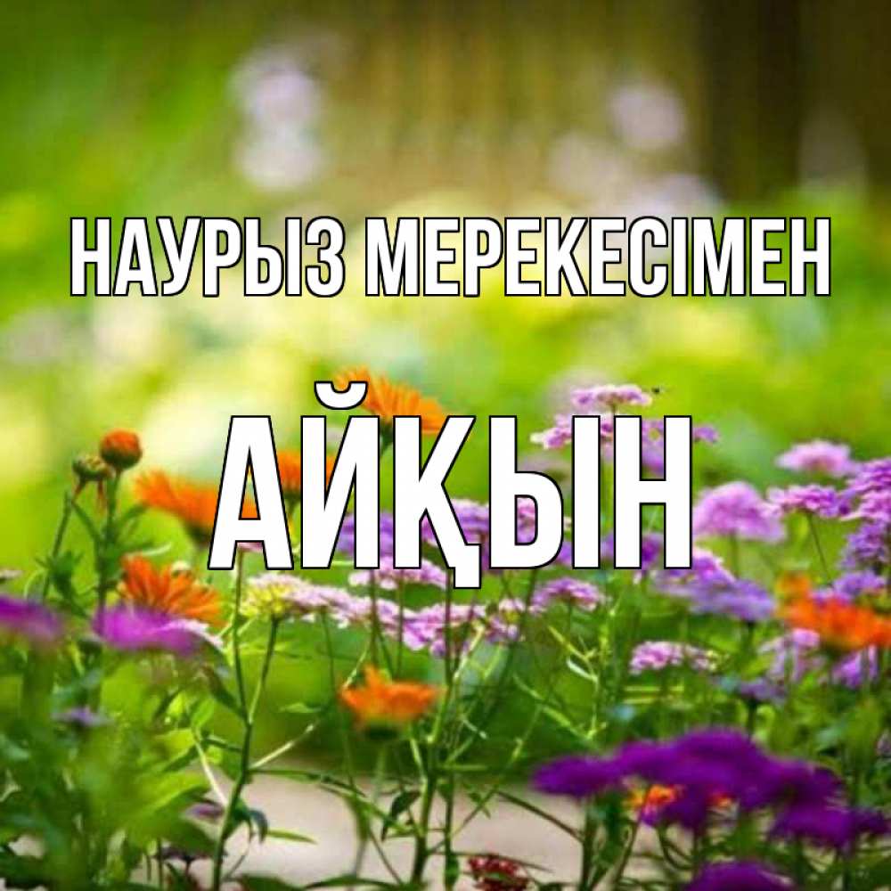Күн сайын ашық хат с именем, Айқын Наурыз мерекесімен цветы Онлайн тегін жүктеп алу тілектері бар керемет карта 
