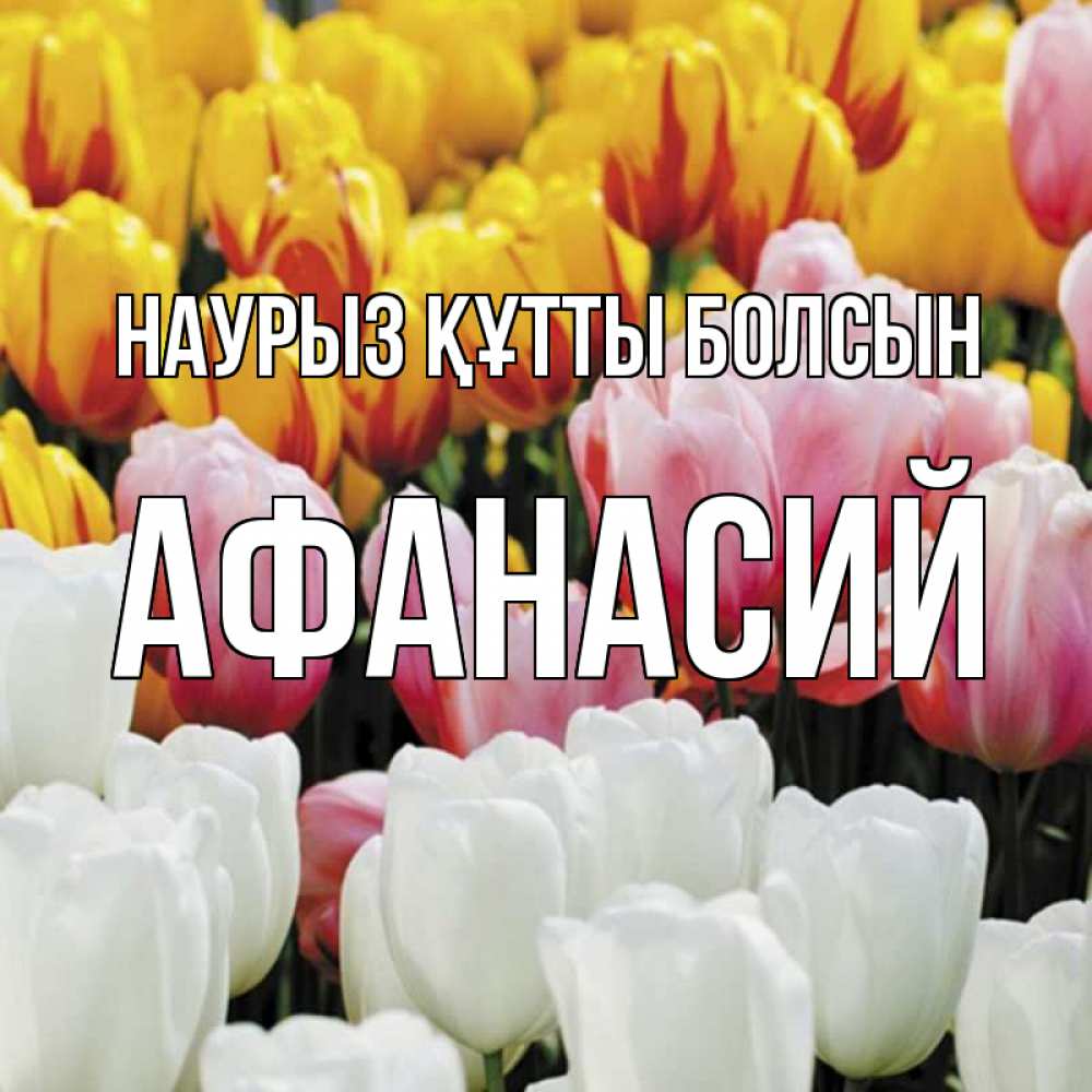 Күн сайын ашық хат с именем, Афанасий Наурыз құтты болсын разноцветные цветы Онлайн тегін жүктеп алу тілектері бар керемет карта 