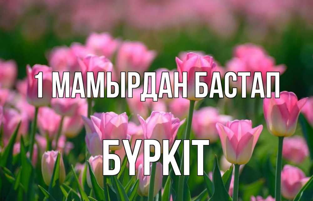Күн сайын ашық хат с именем, Бүркіт 1 мамырдан бастап С 1 мая Онлайн тегін жүктеп алу тілектері бар керемет карта 