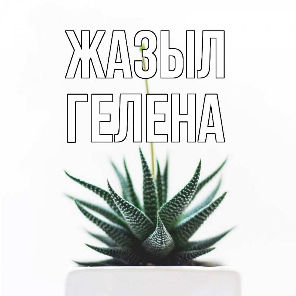 Күн сайын ашық хат с именем, Гелена Жазыл короче это непонятная колючка Онлайн тегін жүктеп алу тілектері бар керемет карта 