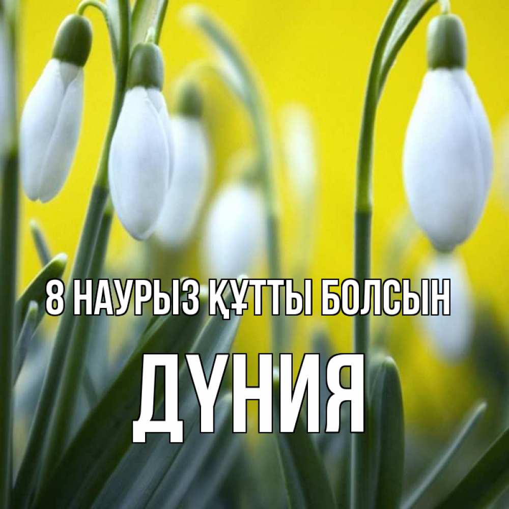 Күн сайын ашық хат с именем, ДҮНИЯ 8 наурыз құтты болсын весенние цветы Онлайн тегін жүктеп алу тілектері бар керемет карта 
