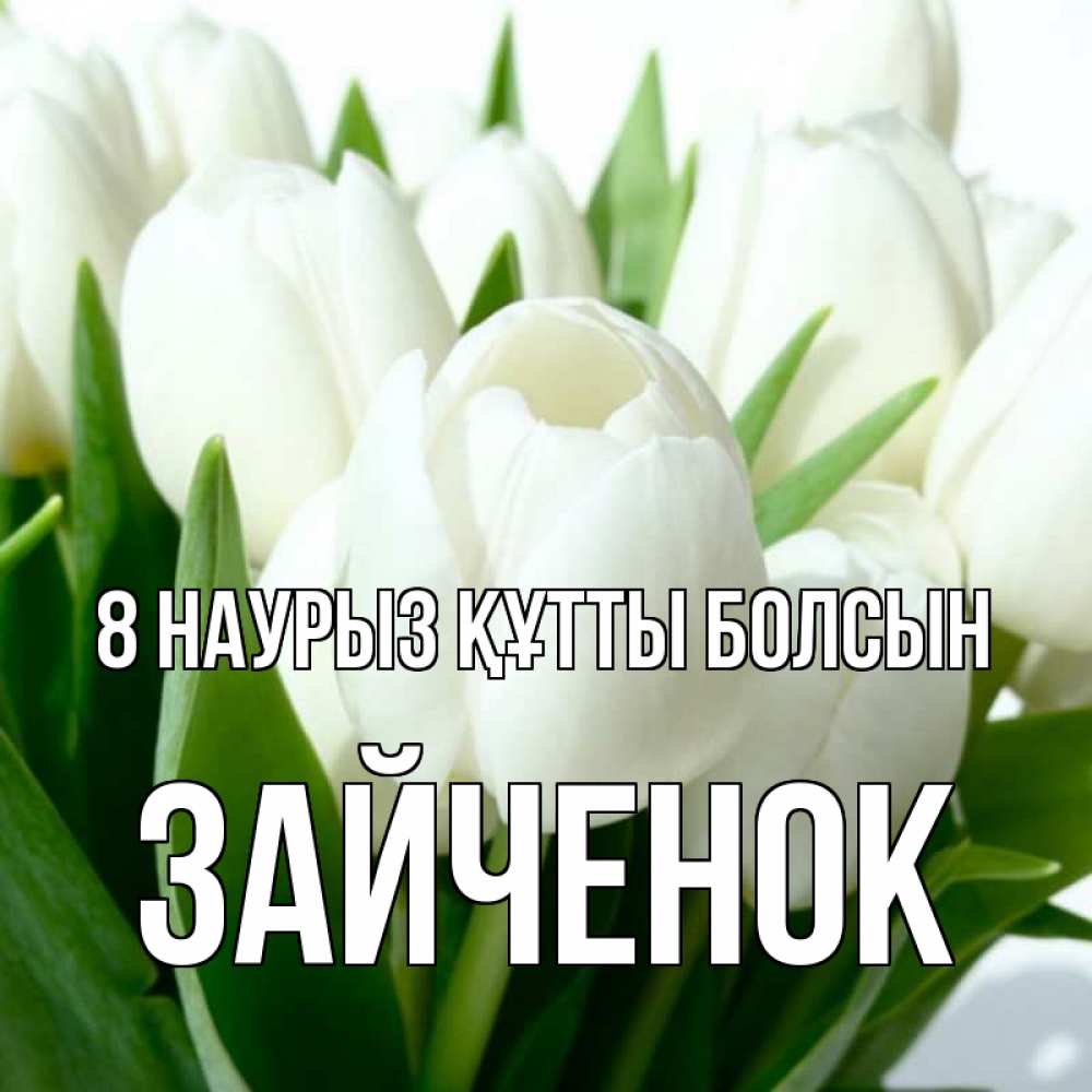 Күн сайын ашық хат с именем, Зайченок 8 наурыз құтты болсын цветы Онлайн тегін жүктеп алу тілектері бар керемет карта 