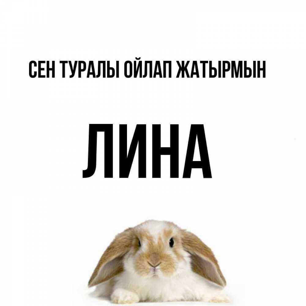 Күн сайын ашық хат с именем, Лина Сен туралы ойлап жатырмын подписать своими руками онлайн Онлайн тегін жүктеп алу тілектері бар керемет карта 