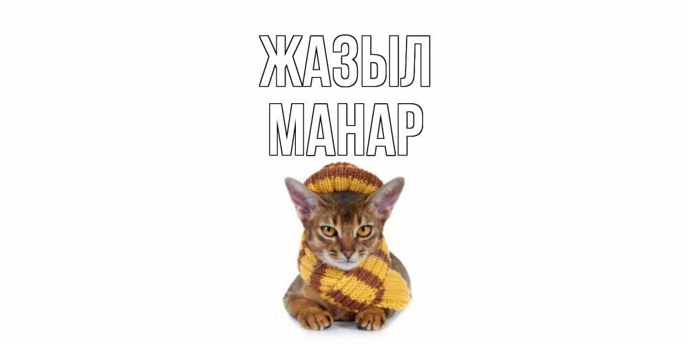 Күн сайын ашық хат с именем, МАНАР Жазыл родные не болейте Онлайн тегін жүктеп алу тілектері бар керемет карта 