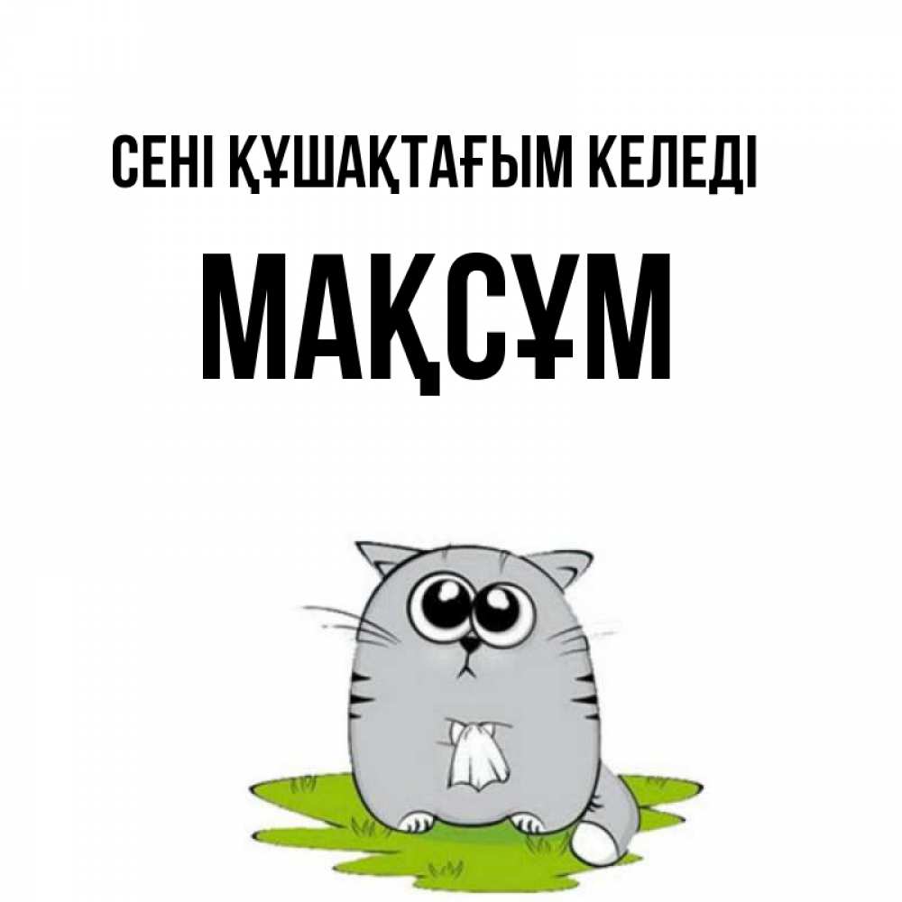 Күн сайын ашық хат с именем, МАҚСҰМ сені құшақтағым келеді котик теребит платочек сидя на травке Онлайн тегін жүктеп алу тілектері бар керемет карта 