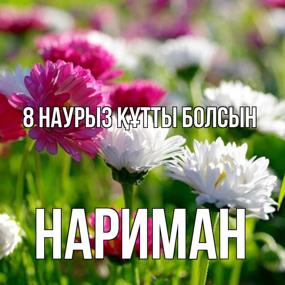 Күн сайын ашық хат с именем, НАРИМАН 8 наурыз құтты болсын международный женский день 1 Онлайн тегін жүктеп алу тілектері бар керемет карта 